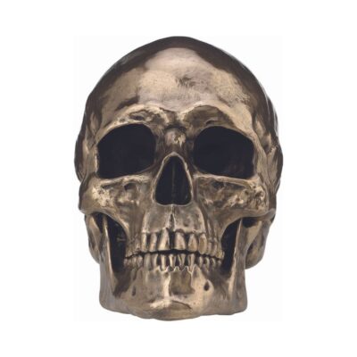resin-bronze-statues-skull-22x16cm
